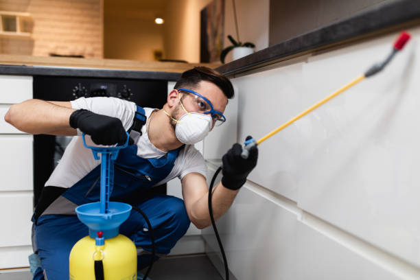 Best Best Pest Control Companies  in Inglis, FL