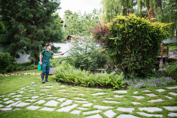 Best Local Pest Control Services  in Inglis, FL
