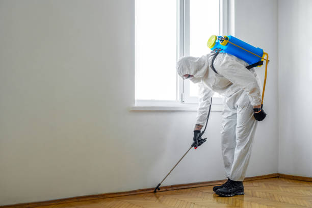 Best Commercial Pest Control Services  in Inglis, FL
