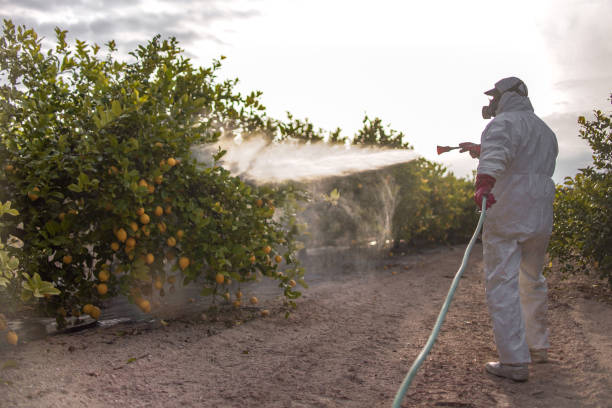 Pest Prevention Services in Inglis, FL