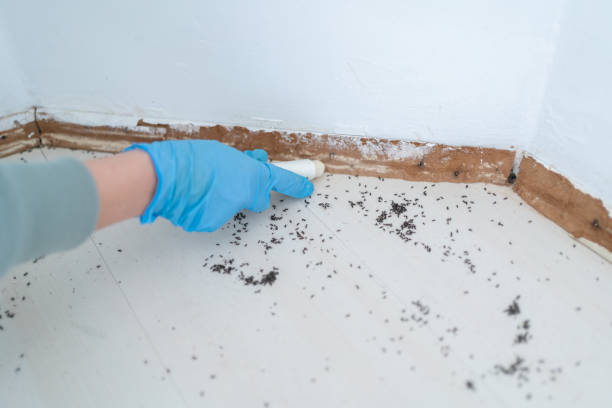 Inglis, FL Pest Control Company