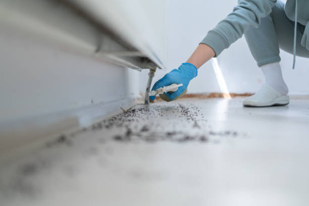 Best Pest Prevention Services  in Inglis, FL